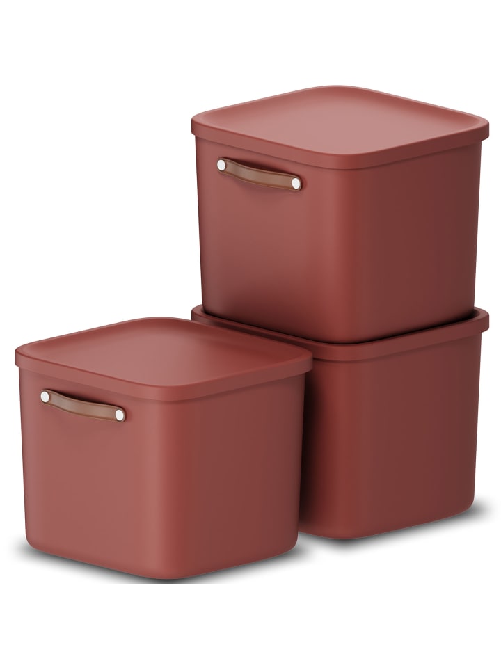 Rotho 3er-Set Kiste mit Deckel Maloja 40l in Iron rot günstig kaufen onesize