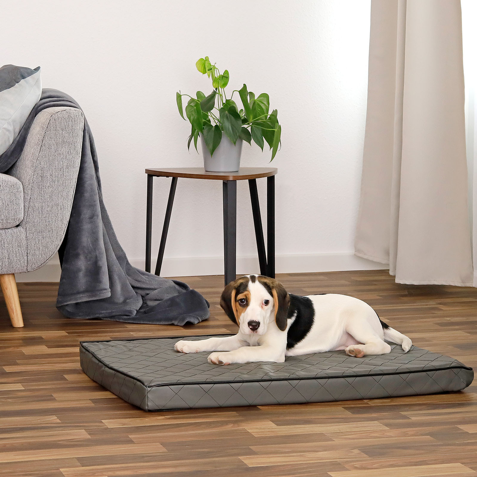 Lionto Hundebetten Lionto Orthopädische Hundematte M