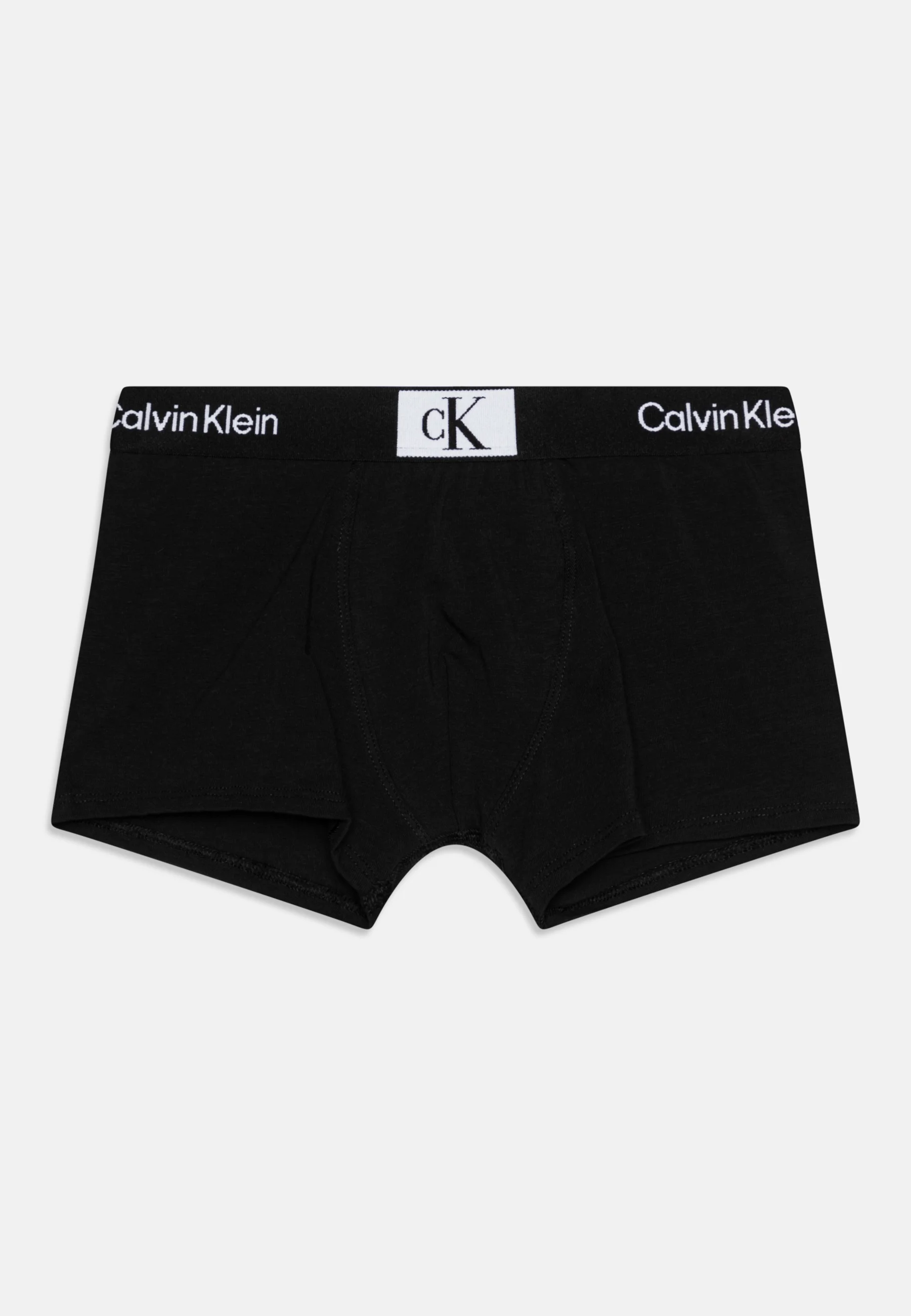 Calvin Klein Underwear TRUNK PACK DE 3 - Culotte