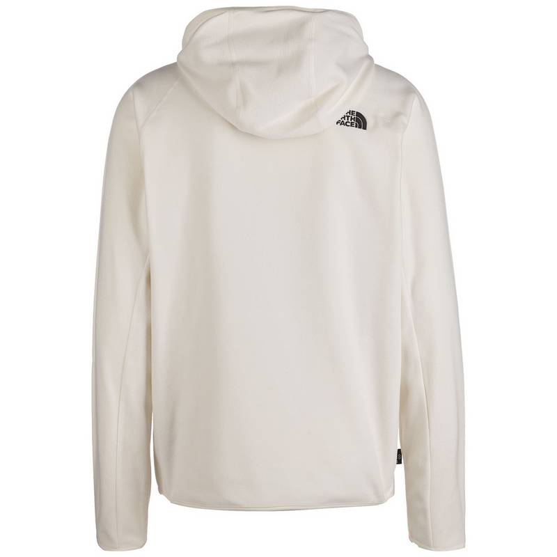 The North Face 100 Glacier Hoodie Herren