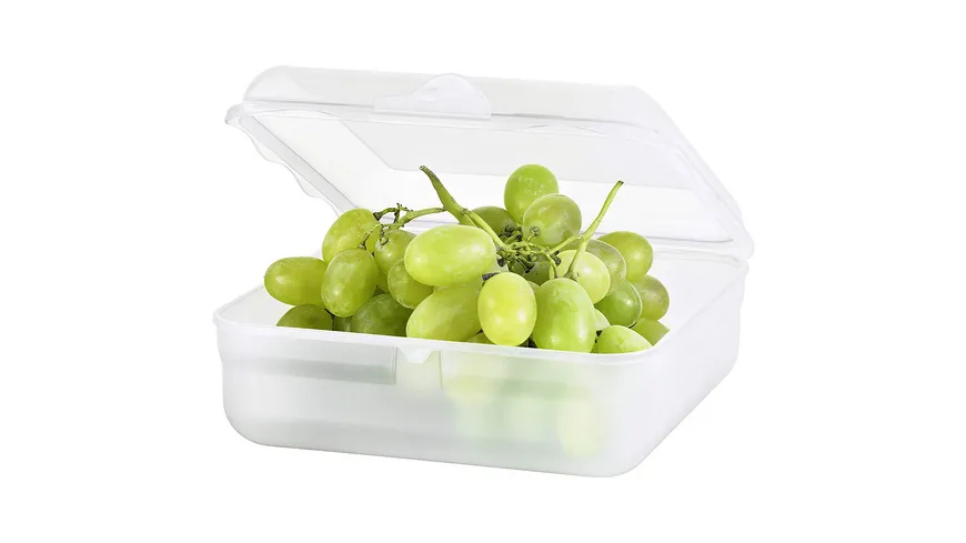 rotho Brotdose Funbox 2,35l Klar