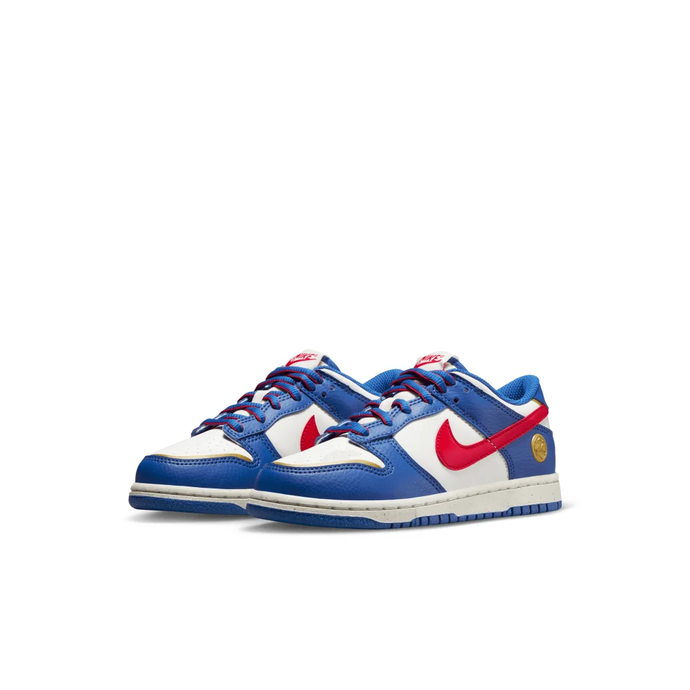 Nike Dunk Low FD0673-400 / blau