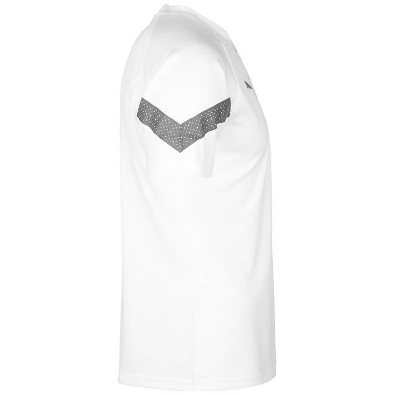 PUMA teamFinal Training Trikot Herren