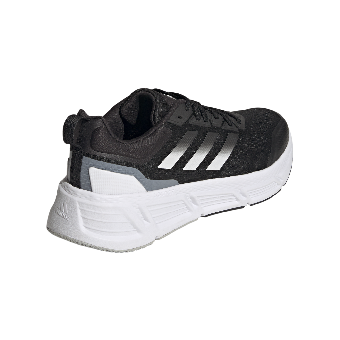 adidas Questar Schwarz Weiss Laufschuh