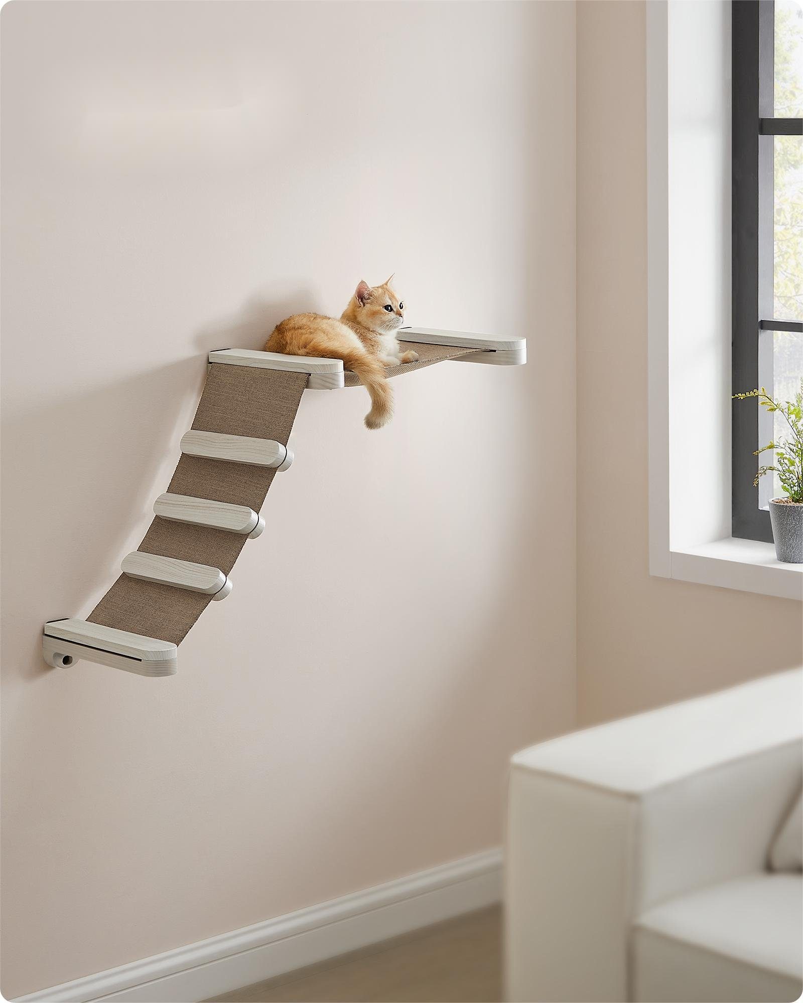 FEANDREA Katzen-Kletterwand, Kratzbaum Clickat Katzen-Kletterhängematte mit Leiter