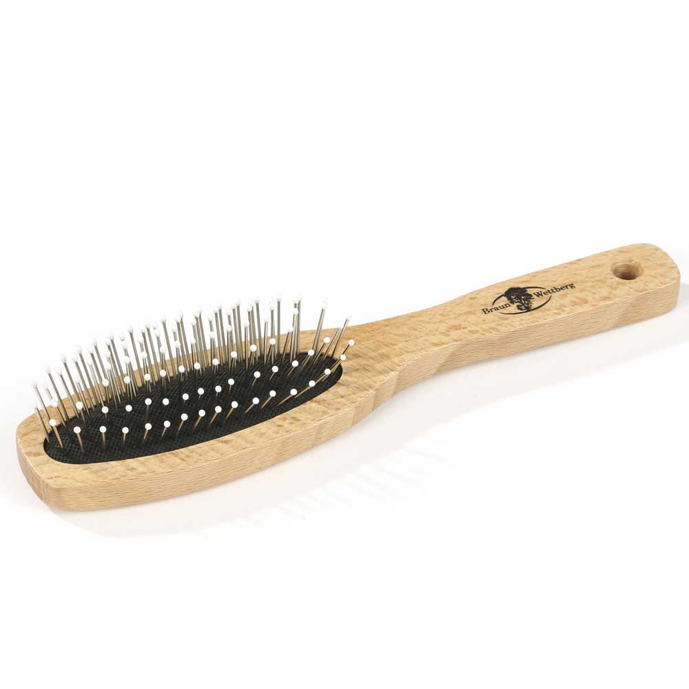 Braun & Wettberg Holzbürste - Drahtstifte