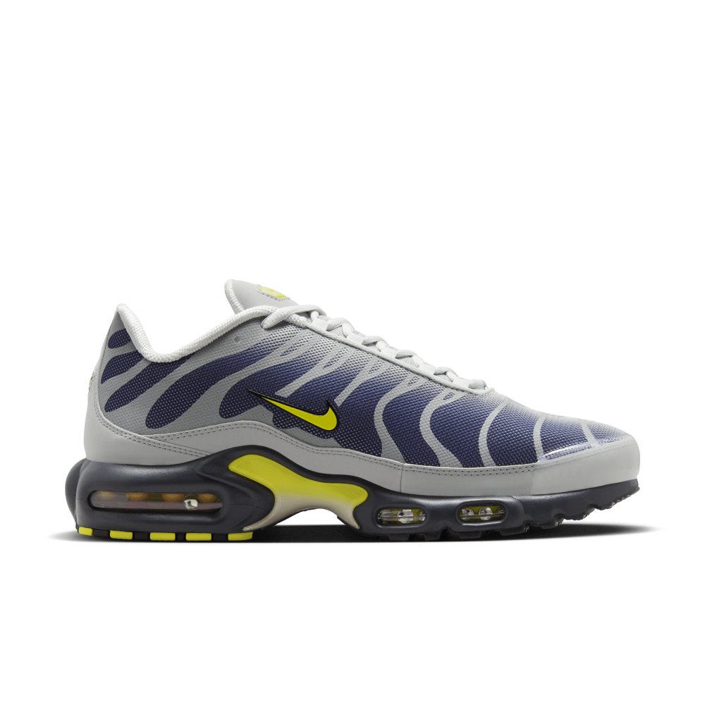 Nike Air Max Plus FZ4622-001 / grau