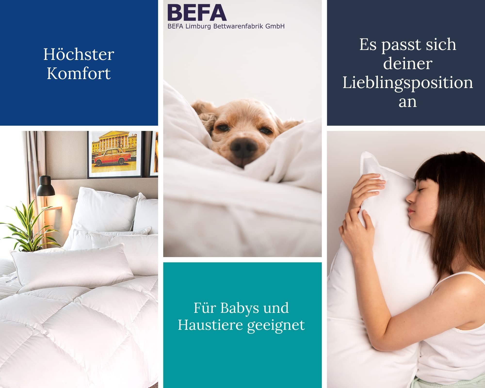 Gänsedaunenbettdecke, weiche 90/10 Premium-Gänsedaunen-Ganzjahresdecke, 4-Jahreszeitendecke, BEFA NATUR, Füllung: 90% Gänsedaunen, 10% Federn, Made in Germany - hochwertige Verarbeitung - Allergiker geeignet
