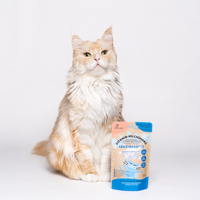 Catlab Katzenmilch & Getränke Catlab Vitamin-Milchshake für Katzen Abwehrkräfte