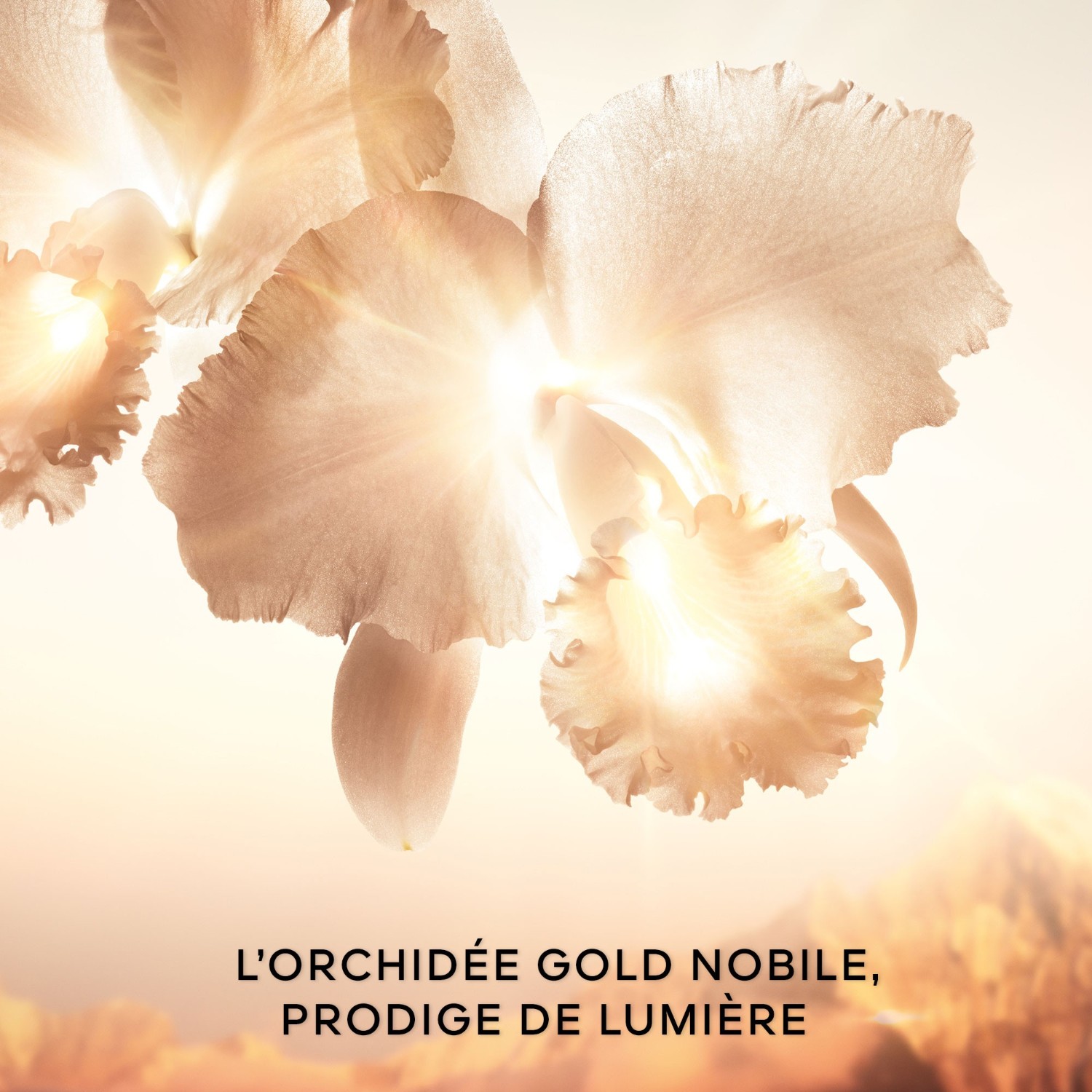 Guerlain La Crème