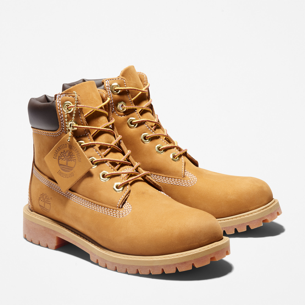 Timberland 6 Inch Premium Junior Boot TB0129097131 / braun