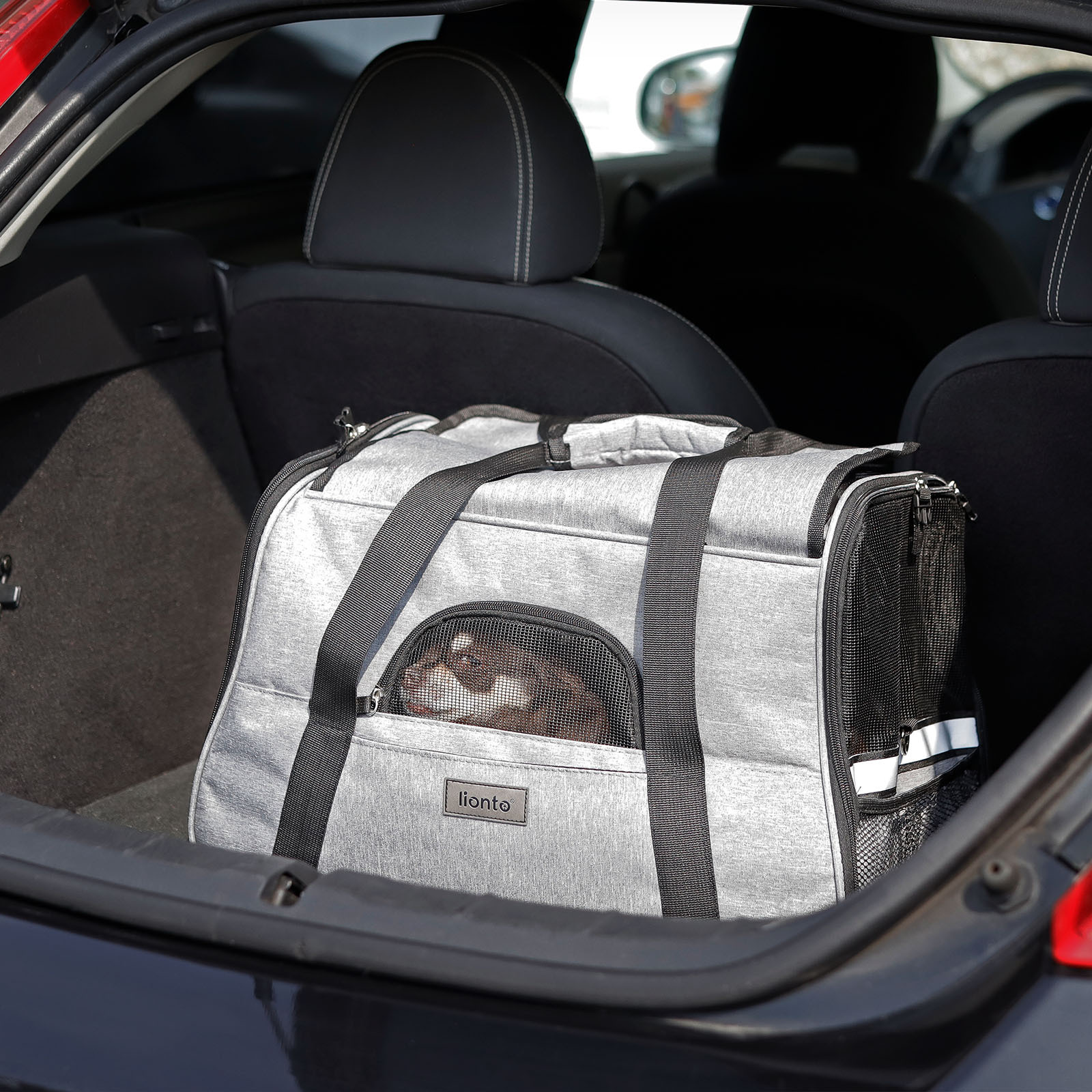 Lionto Tragetaschen Lionto Transporttasche für Hunde & Katzen grau