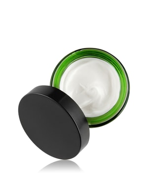 VOTARY Natural Glow Day Cream - Oleosomes and Pomegranate Ferment Gesichtscreme-50 ml