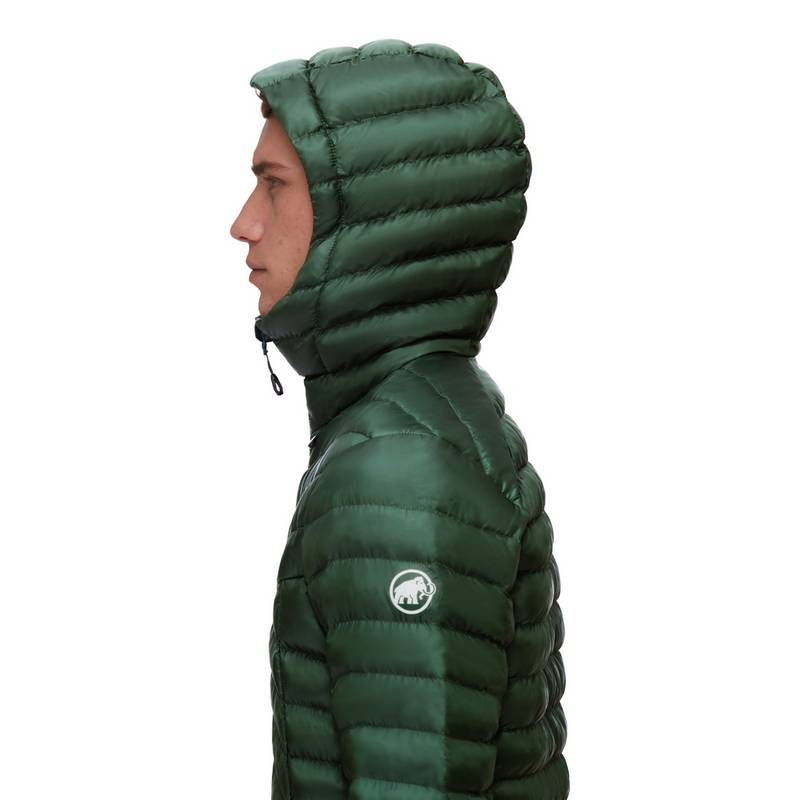 Mammut Albula Hooded Kunstfaserjacke Herren