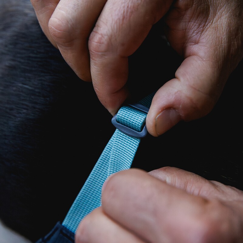 Ruffwear Hundegeschirr Hi & Light™ Harness
