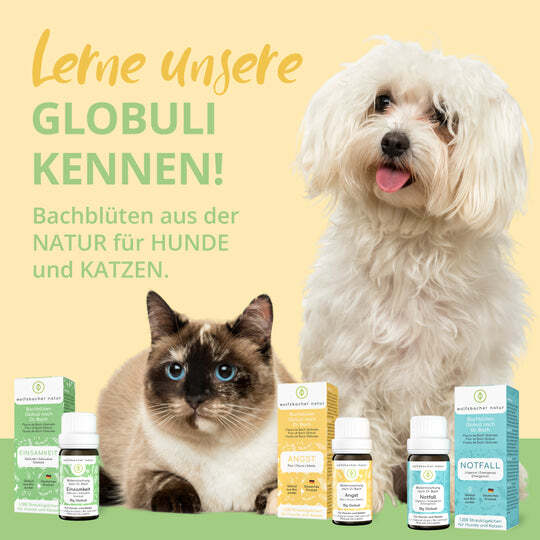Wolfsbacher Natur Ergänzungsfutter & Aufzucht Wolfsbacher Natur Bachblüten Angst