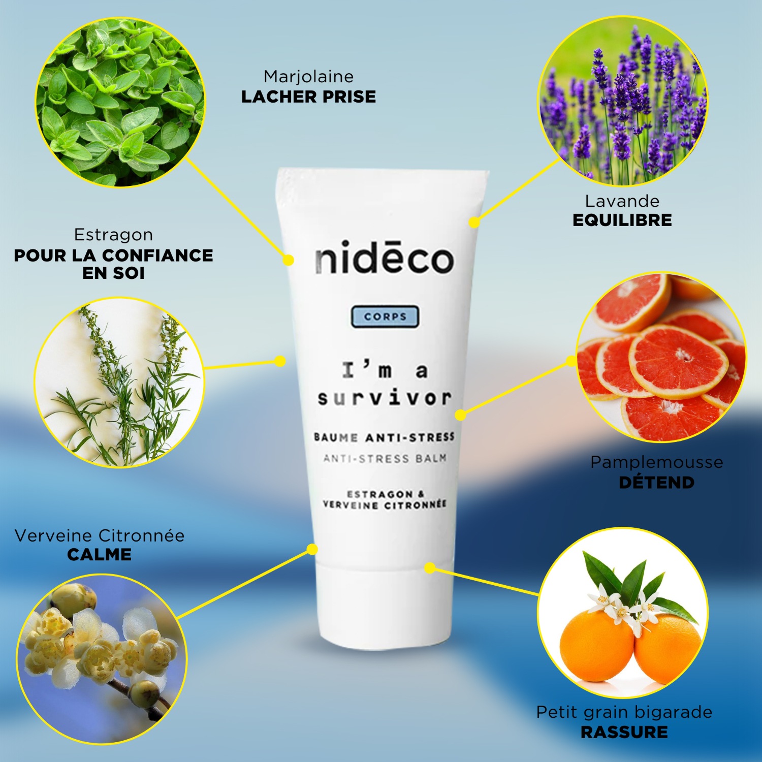 Nidéco, je suis un survivant