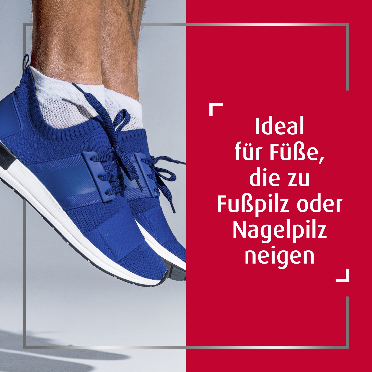 CANESPROTECT Fußspray