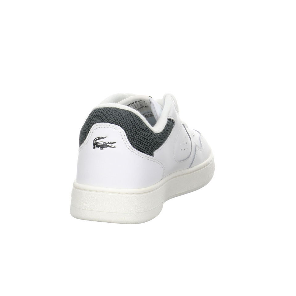 Lacoste Lineset Sneaker