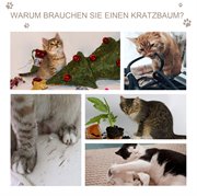 PawHut Katzenhöhle mit Kraztbrett Katzenbett Kratzhaus Katzenhaus Katzenwohnung Sisal Grau 48,5 x 30 x 30 cm