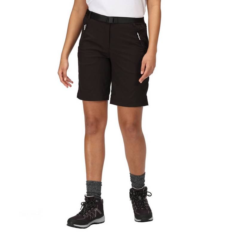 Regatta Xert It Shorts Damen