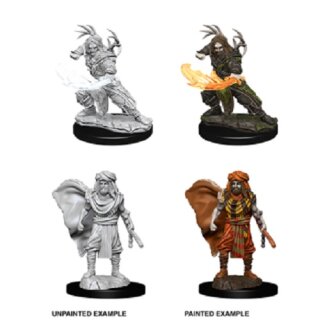 Male Human Druid: Nolzurs Marvelous Unpainted Minis