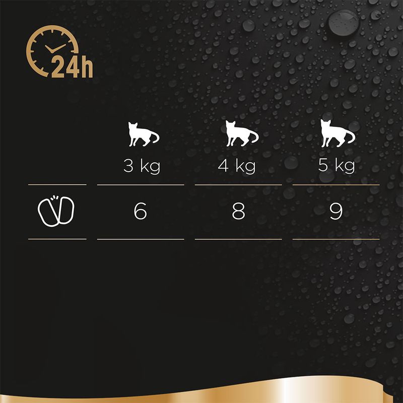 Megapack Sheba Perfect Portions 64 x 37,5 g