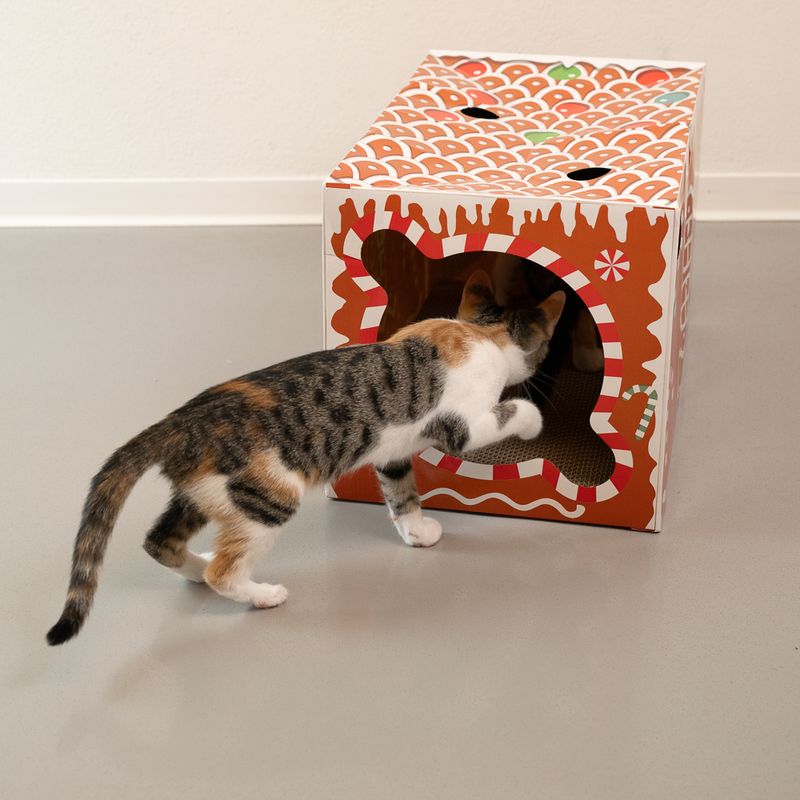 TIAKI Katzenkratztunnel Lebkuchen zu TOP-Preisen
