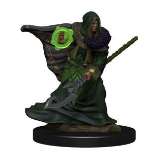 D&D Icons of the Realms Premium Figures: Elf Druid Male