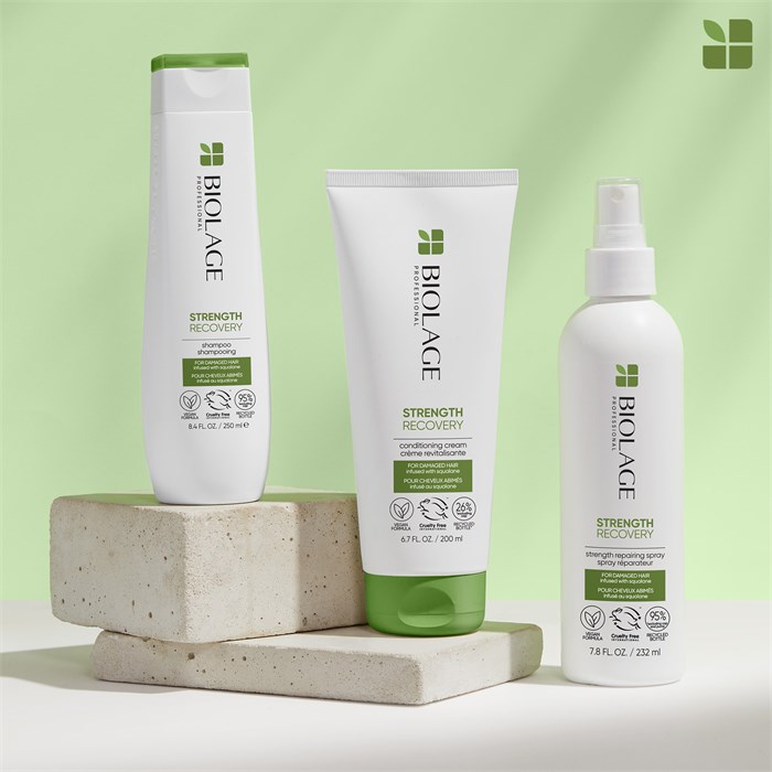 Repairing Spray