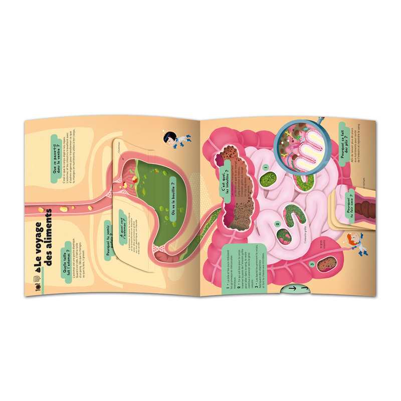 Livre Le kididoc du corps humain - Nathan Jeunesse
