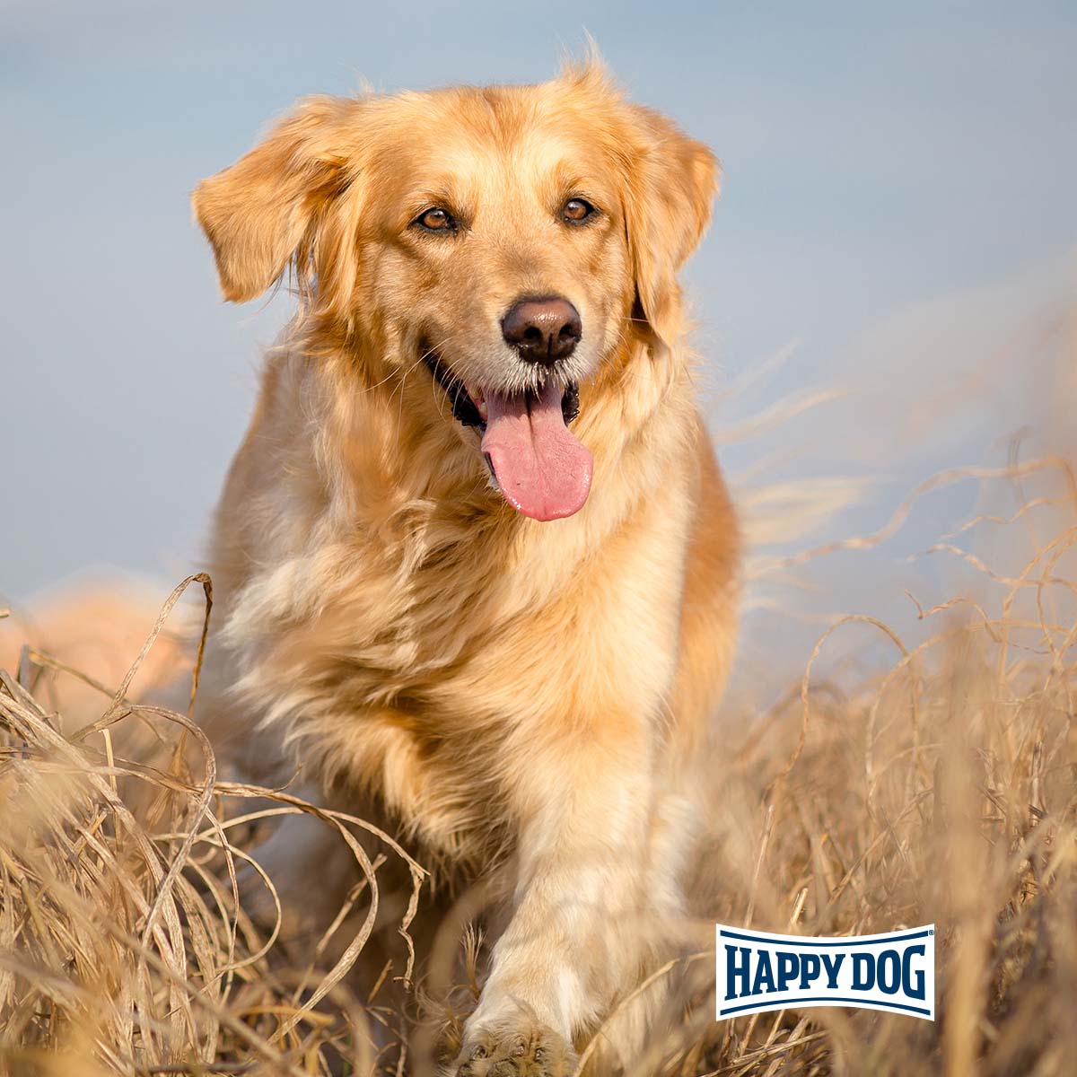 Happy Dog NaturCroq Lamm & Reis günstig kaufen bei ZooRoyal
