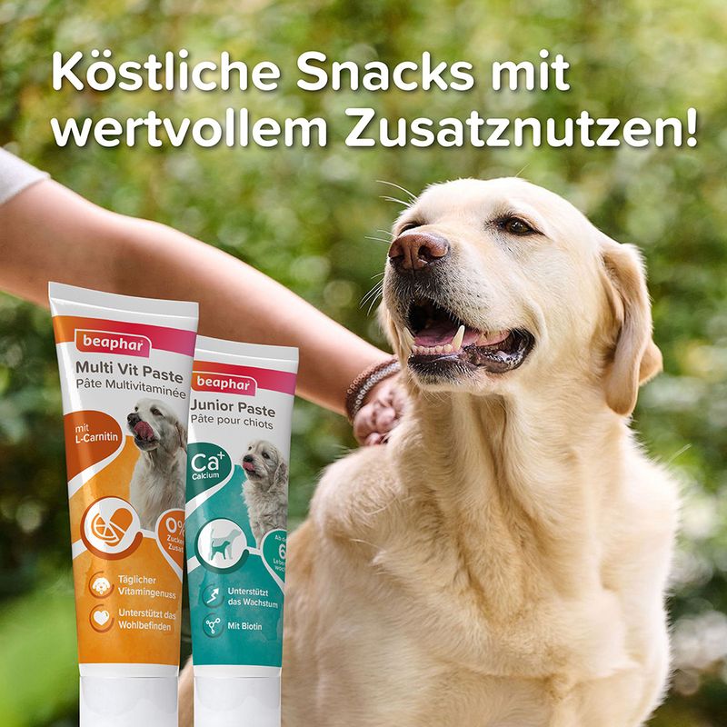 Beaphar Multi Vitamin Paste
