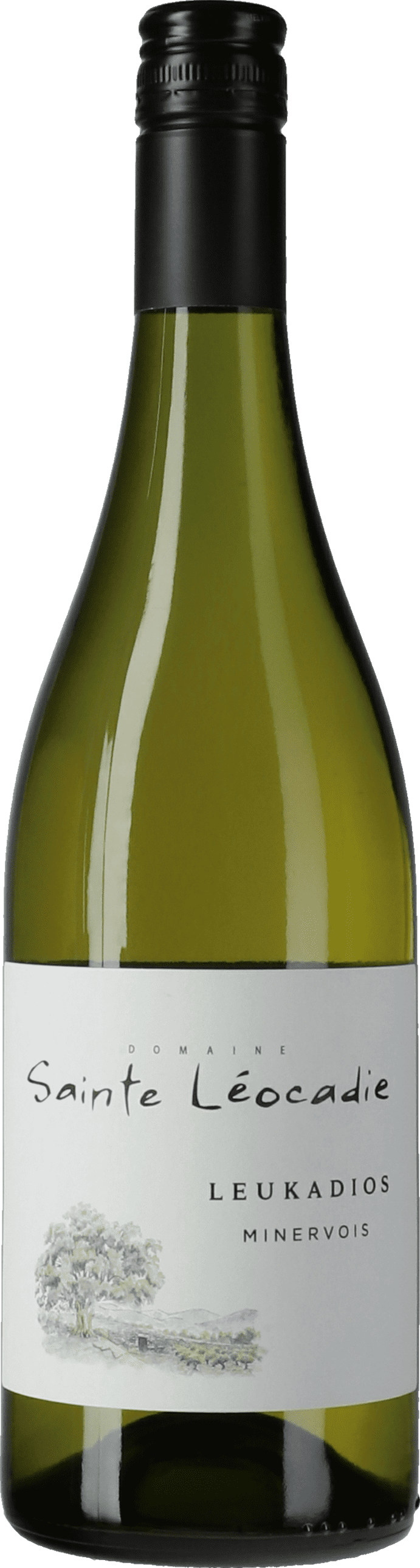 Sainte Léocadie Cuvée Leukadios Blanc 2022