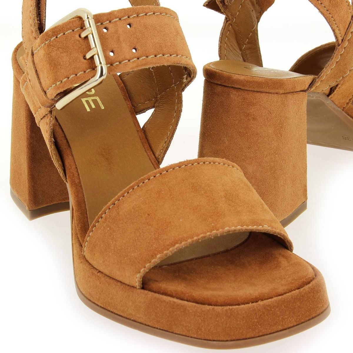 Alpe  2572 - Camel