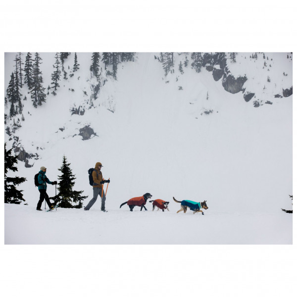 Ruffwear - Vert Jacket - Hundemantel