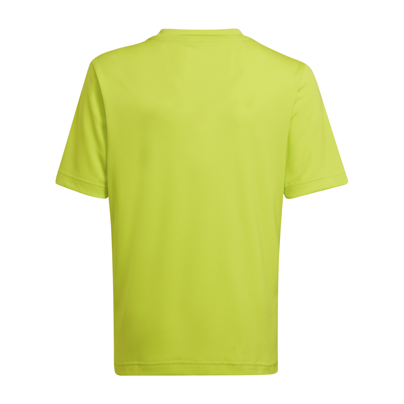 adidas Entrada 22 GFX Trikot Kids Grün Grau