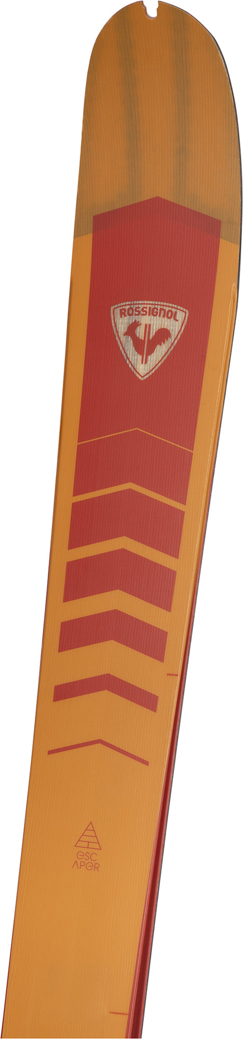 Unisex Nordic Skier XP 120 POSITRACK