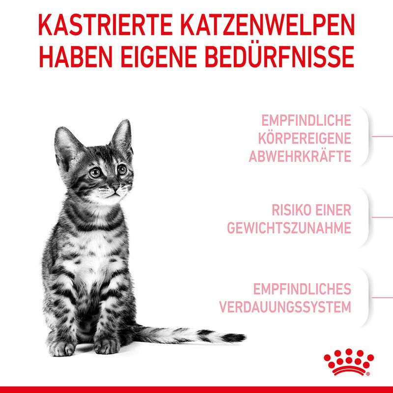 Royal Canin Kitten Sterilised zu TOP-Preisen