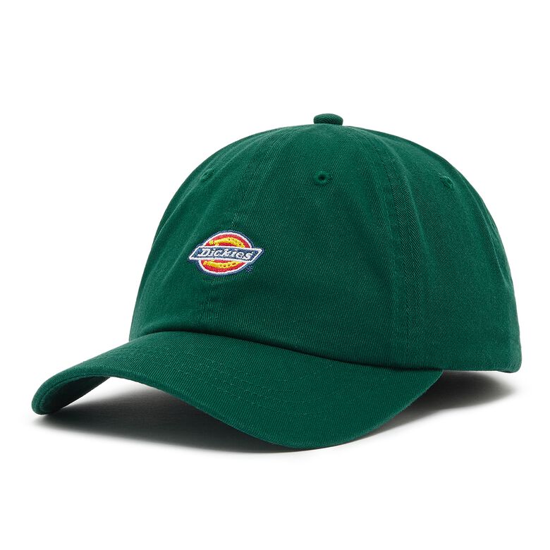 Dickies Hardwick aventurine