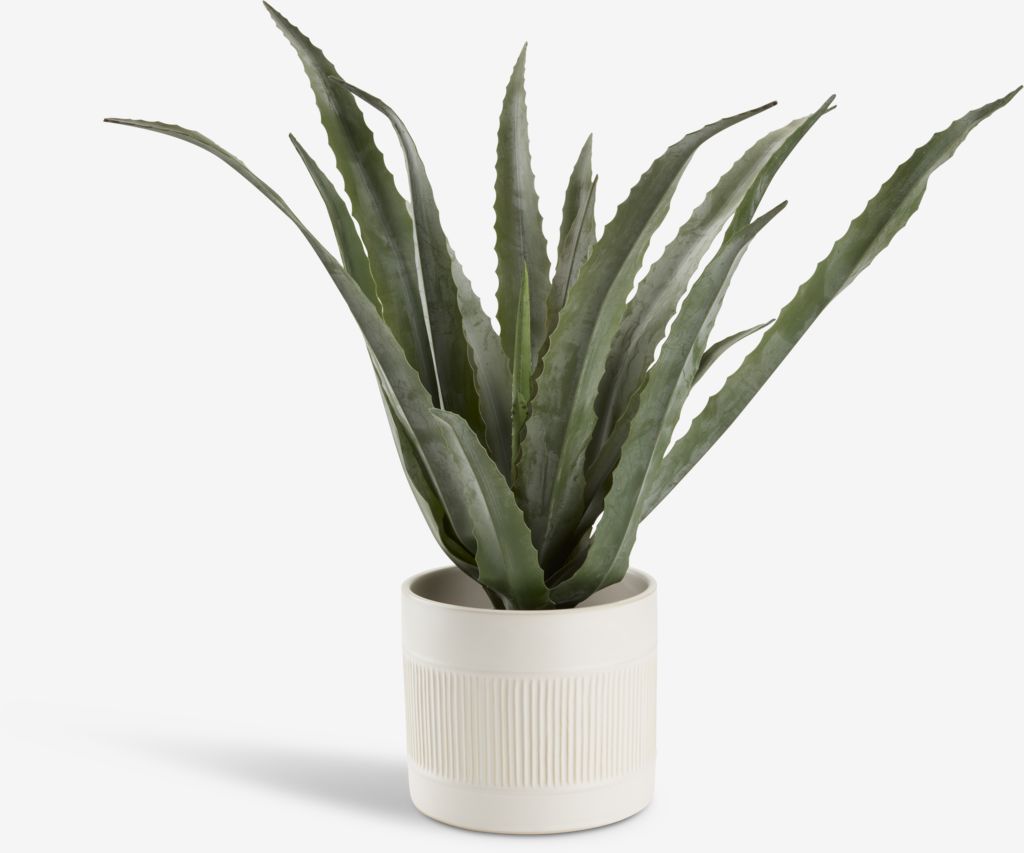 CELIUS Sztuczna roślina CELIUS W65cm aloes