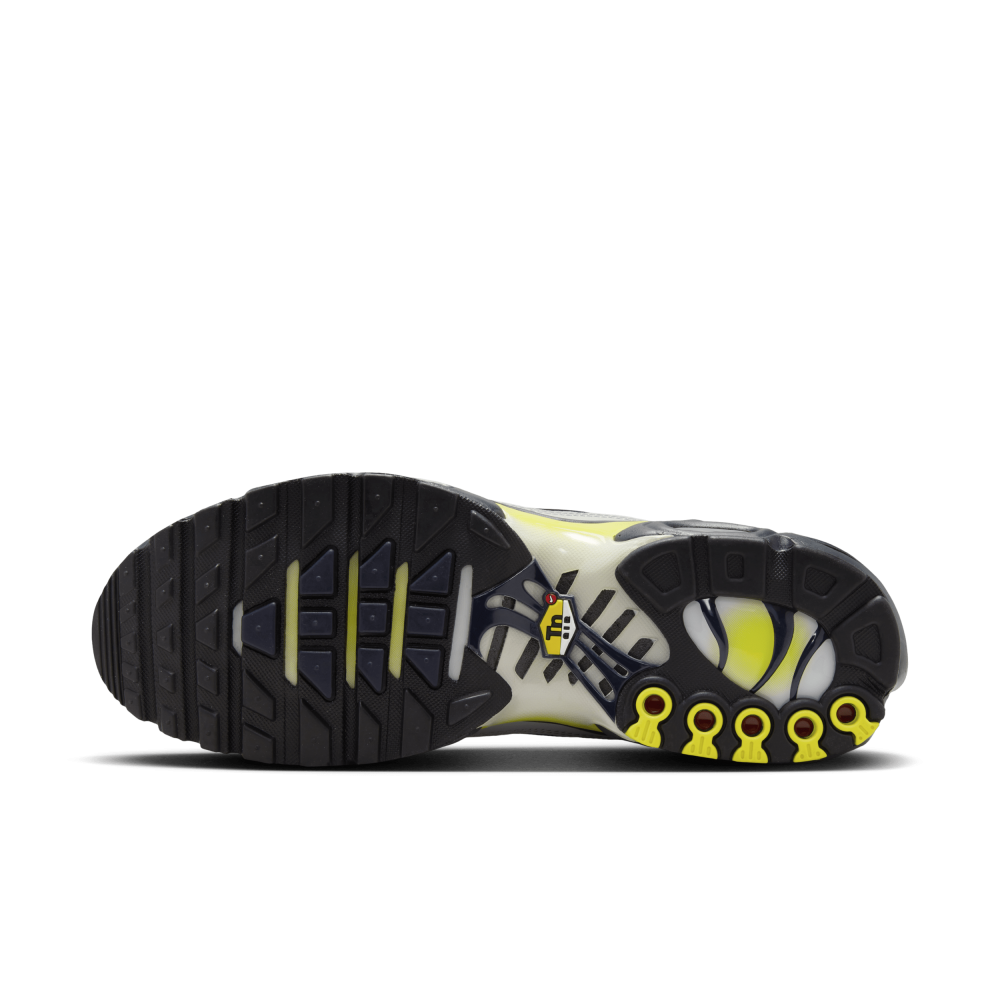 Nike Air Max Plus FZ4622-001 / grau