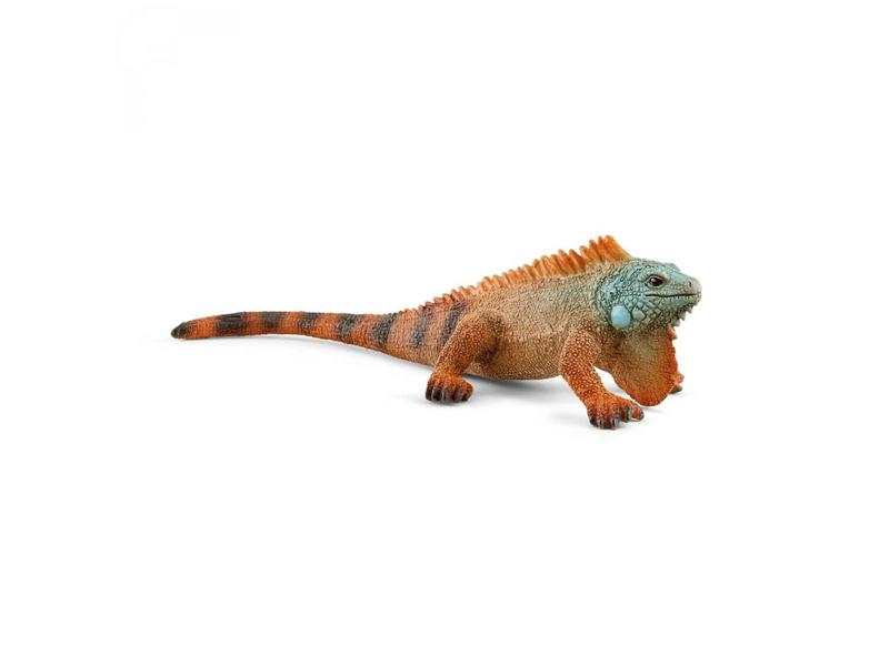 Iguane