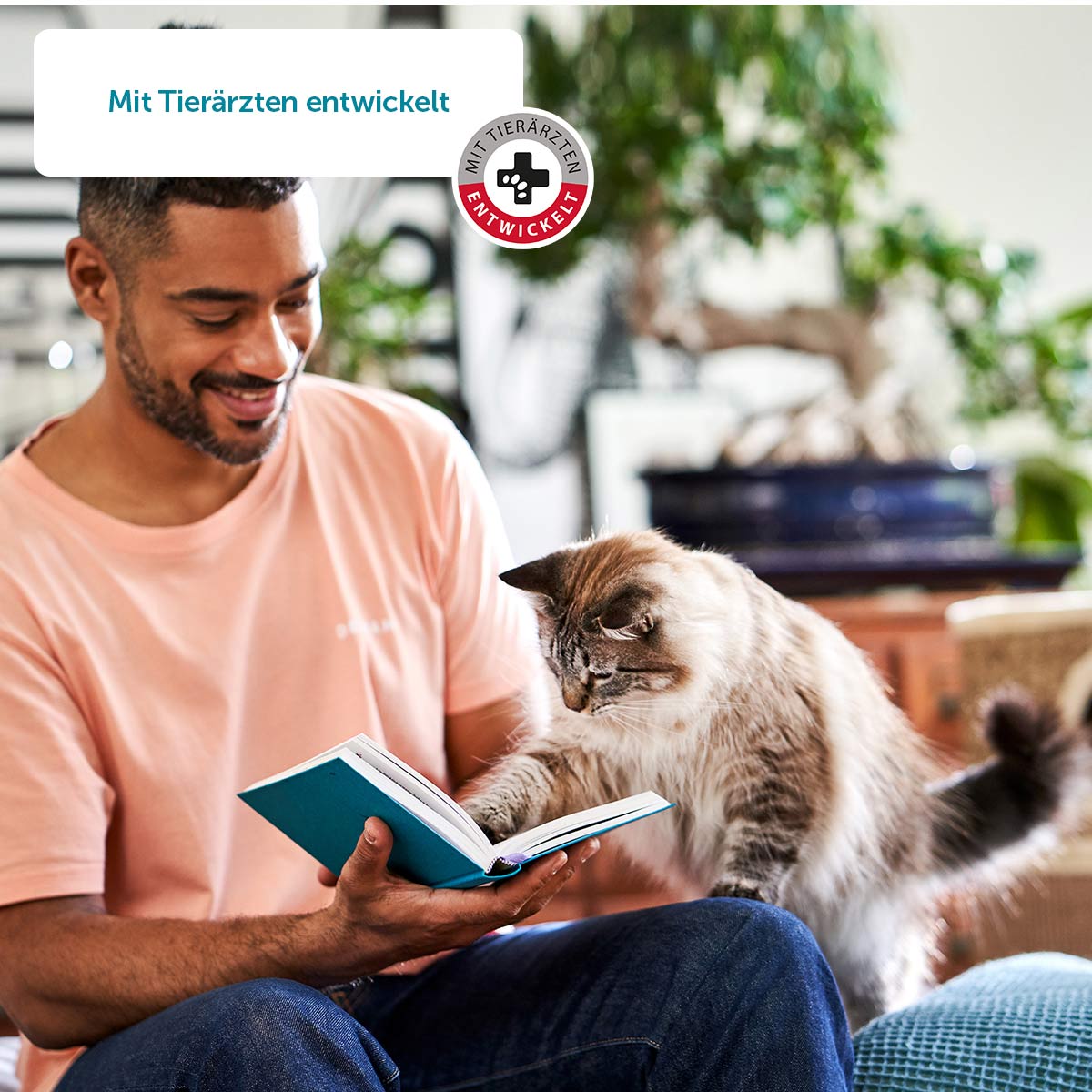 ZooRoyal Katzen-Grillies Geflügelschinken & Käse