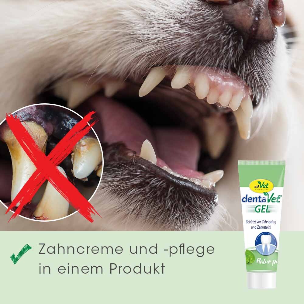 dentaVet Zahnpflege dentaVet Gel 25ml