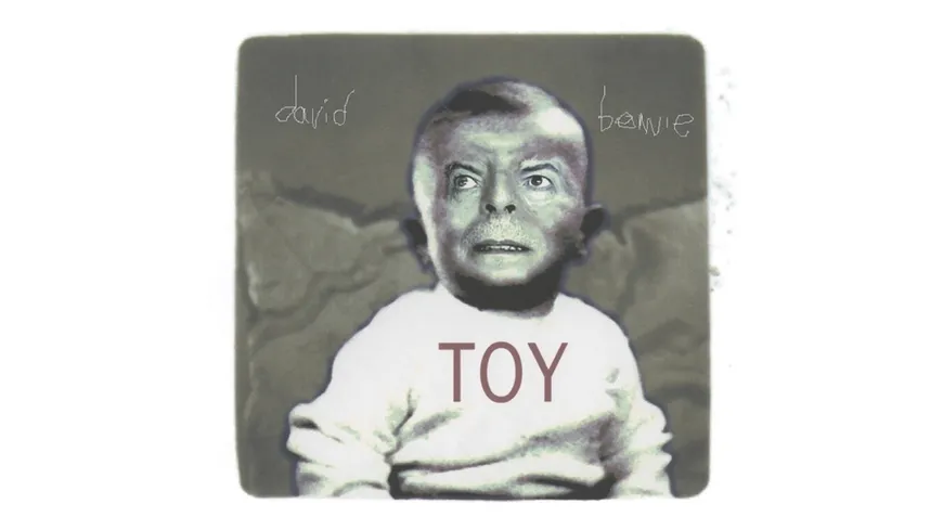 Toy