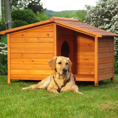 Hundehütte Spike Special