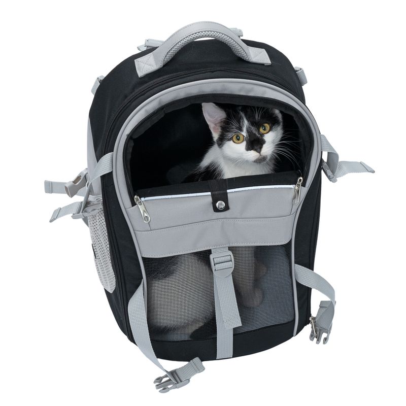 TIAKI Rucksack für Haustiere zu TOP-Preisen