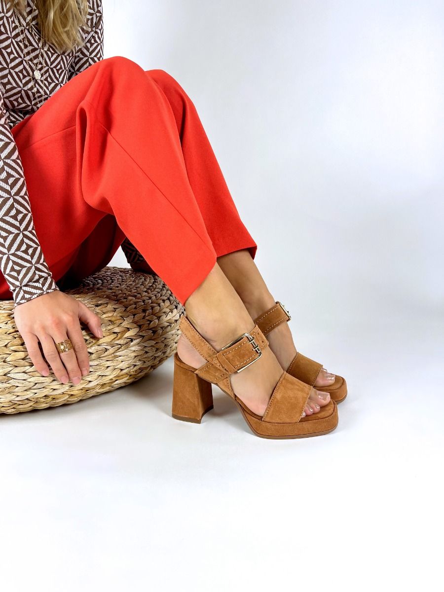 Alpe  2572 - Camel