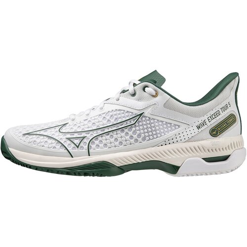 HERREN TENNISOUTDOORSCHUHE WAVE EXCEED TOUR 5CC(U)